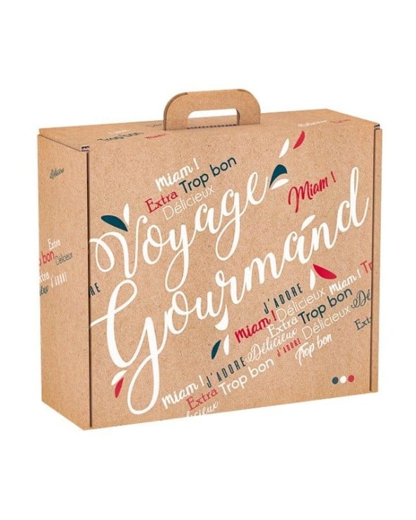 Valisette carton voyage gourmand bleu blanc rouge