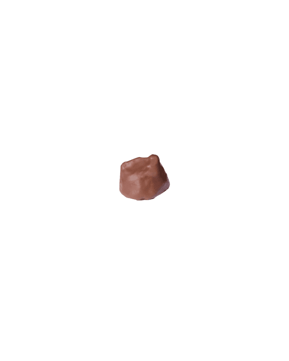 Rocher au Chocolat Praliné 100g