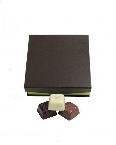 Coffret vert chocolats 125g